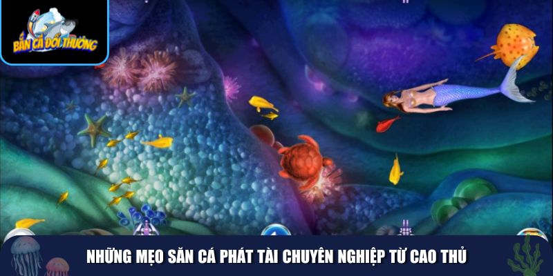 Các chiến thuật săn cá hiệu quả