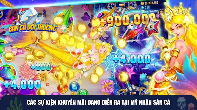 Các sự kiện khuyến mãi đang diễn ra tại Mỹ Nhân Săn Cá