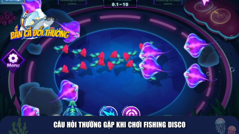 Câu hỏi thường gặp khi chơi Fishing Disco