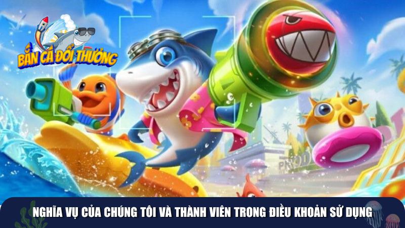 Nghĩa vụ của chúng tôi và thành viên trong điều khoản sử dụng