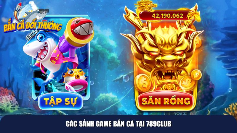 Sảnh game cho cả người mới và cao thủ